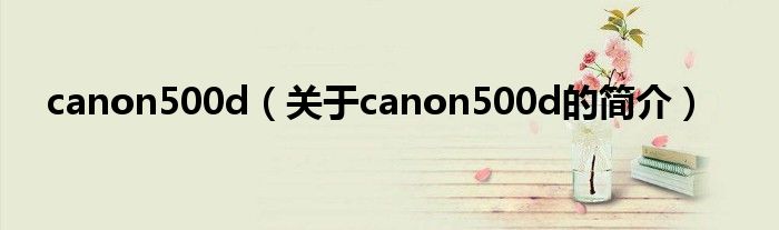 canon500d（關(guān)于canon500d的簡(jiǎn)介）