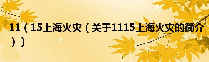 11（15上?；馂?zāi)（關(guān)于1115上?；馂?zāi)的簡介））