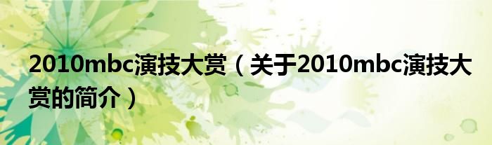 2010mbc演技大賞（關(guān)于2010mbc演技大賞的簡(jiǎn)介）