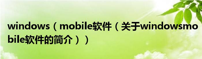 windows（mobile軟件（關(guān)于windowsmobile軟件的簡(jiǎn)介））