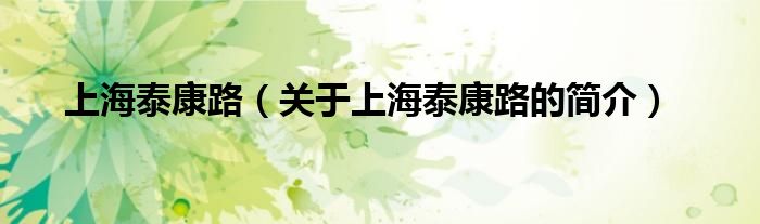 上海泰康路（關(guān)于上海泰康路的簡(jiǎn)介）