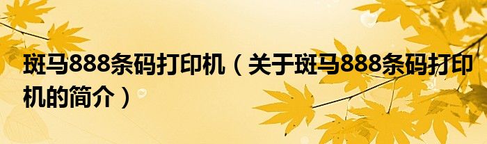 斑馬888條碼打印機（關于斑馬888條碼打印機的簡介）