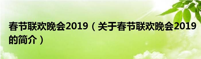 春節(jié)聯(lián)歡晚會2019（關于春節(jié)聯(lián)歡晚會2019的簡介）