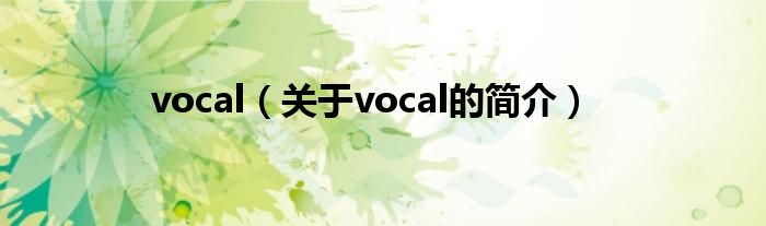 vocal（關(guān)于vocal的簡(jiǎn)介）