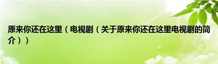 原來(lái)你還在這里（電視劇（關(guān)于原來(lái)你還在這里電視劇的簡(jiǎn)介））