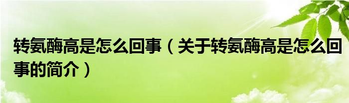 轉(zhuǎn)氨酶高是怎么回事（關(guān)于轉(zhuǎn)氨酶高是怎么回事的簡介）