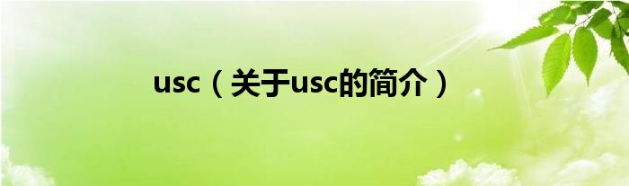 usc（關于usc的簡介）