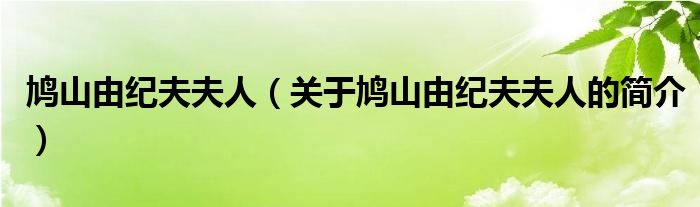 鳩山由紀(jì)夫夫人（關(guān)于鳩山由紀(jì)夫夫人的簡(jiǎn)介）