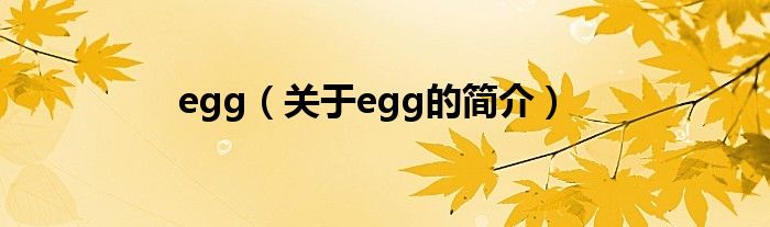 egg（關(guān)于egg的簡介）