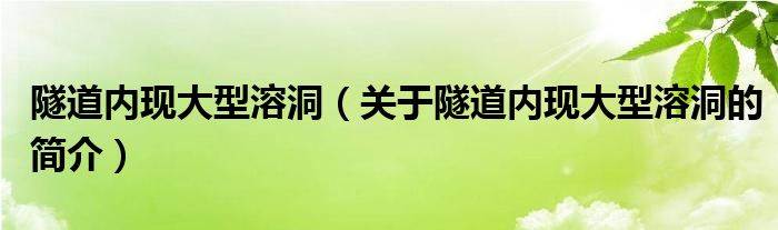 隧道內(nèi)現(xiàn)大型溶洞（關(guān)于隧道內(nèi)現(xiàn)大型溶洞的簡(jiǎn)介）