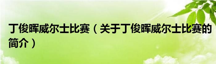 丁俊暉威爾士比賽（關(guān)于丁俊暉威爾士比賽的簡(jiǎn)介）