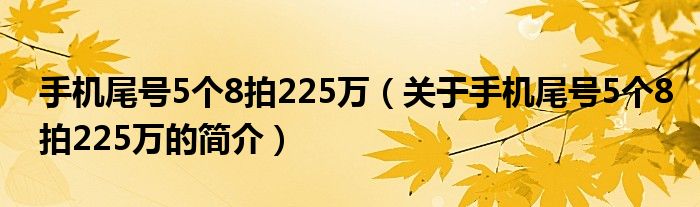 手機尾號5個8拍225萬（關于手機尾號5個8拍225萬的簡介）