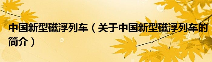 中國新型磁浮列車（關(guān)于中國新型磁浮列車的簡介）