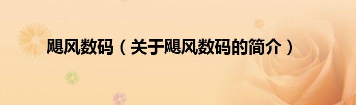 颶風(fēng)數(shù)碼（關(guān)于颶風(fēng)數(shù)碼的簡(jiǎn)介）