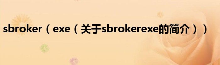 sbroker（exe（關(guān)于sbrokerexe的簡(jiǎn)介））