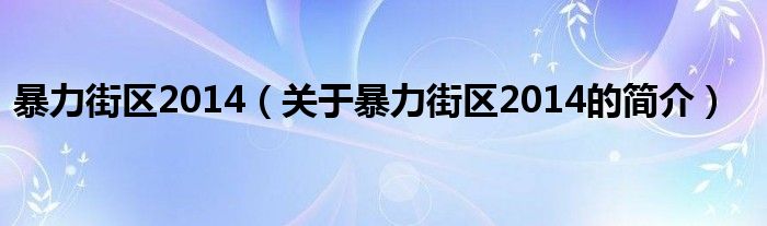 暴力街區(qū)2014（關(guān)于暴力街區(qū)2014的簡介）