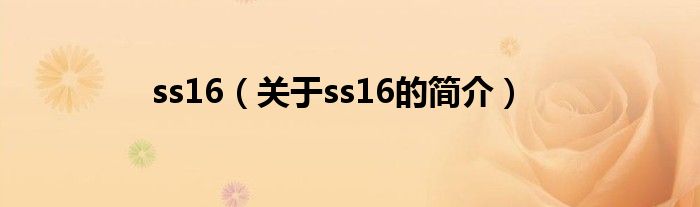 ss16（關(guān)于ss16的簡(jiǎn)介）