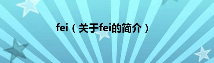 fei（關(guān)于fei的簡介）