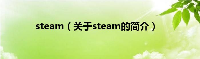 steam（關(guān)于steam的簡(jiǎn)介）