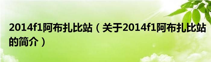 2014f1阿布扎比站（關(guān)于2014f1阿布扎比站的簡(jiǎn)介）