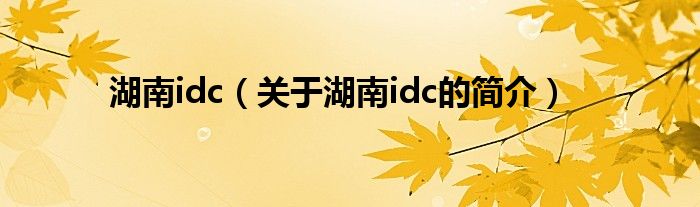 湖南idc（關(guān)于湖南idc的簡介）