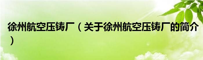 徐州航空壓鑄廠（關于徐州航空壓鑄廠的簡介）