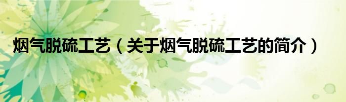 煙氣脫硫工藝（關(guān)于煙氣脫硫工藝的簡(jiǎn)介）