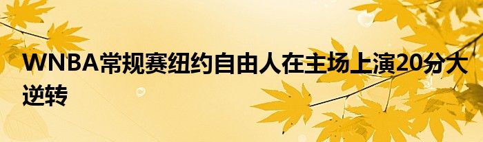 WNBA常規(guī)賽紐約自由人在主場(chǎng)上演20分大逆轉(zhuǎn)