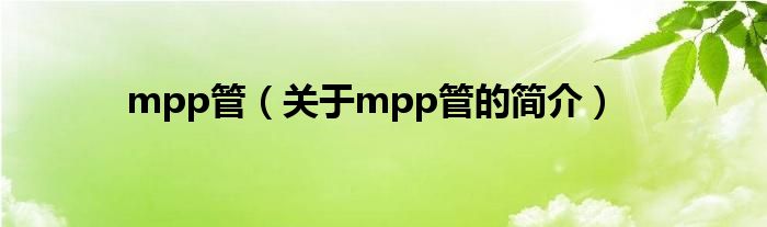 mpp管（關(guān)于mpp管的簡介）