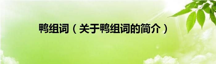 鴨組詞（關(guān)于鴨組詞的簡(jiǎn)介）