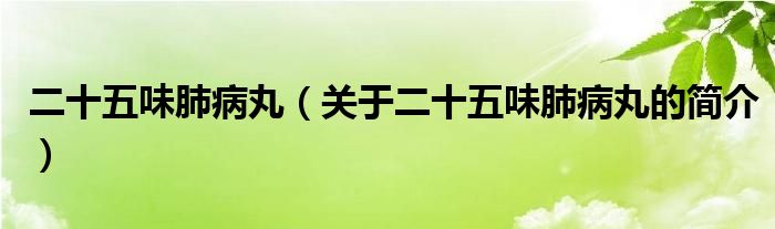 二十五味肺病丸（關于二十五味肺病丸的簡介）