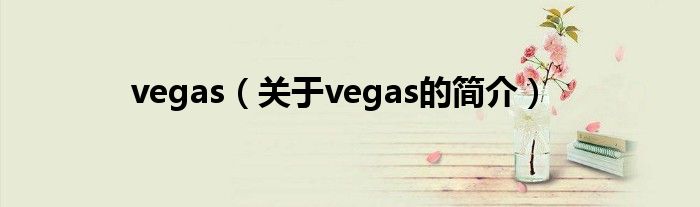 vegas（關(guān)于vegas的簡(jiǎn)介）