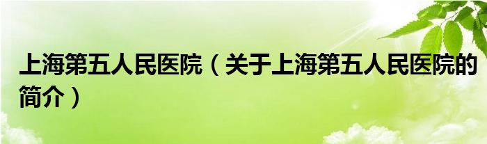 上海第五人民醫(yī)院（關(guān)于上海第五人民醫(yī)院的簡介）