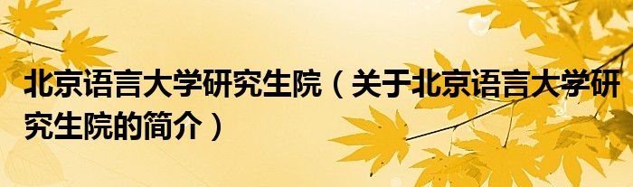 北京語言大學(xué)研究生院（關(guān)于北京語言大學(xué)研究生院的簡介）