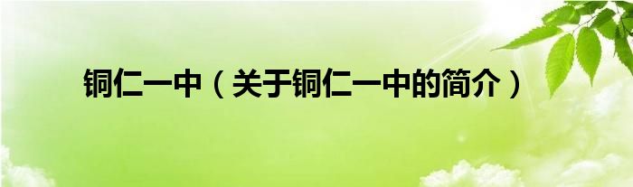 銅仁一中（關(guān)于銅仁一中的簡介）