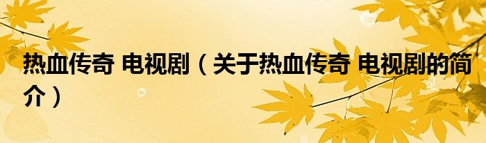 熱血傳奇 電視?。P(guān)于熱血傳奇 電視劇的簡(jiǎn)介）