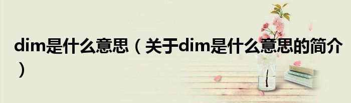 dim是什么意思（關(guān)于dim是什么意思的簡(jiǎn)介）