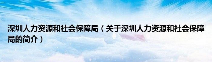 深圳人力資源和社會保障局（關于深圳人力資源和社會保障局的簡介）