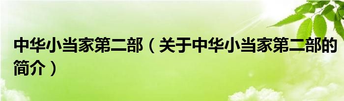 中華小當家第二部（關(guān)于中華小當家第二部的簡介）