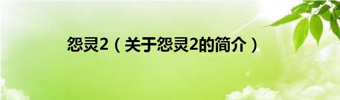 怨靈2（關(guān)于怨靈2的簡(jiǎn)介）