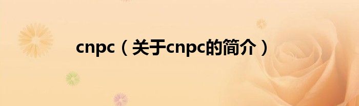 cnpc（關于cnpc的簡介）