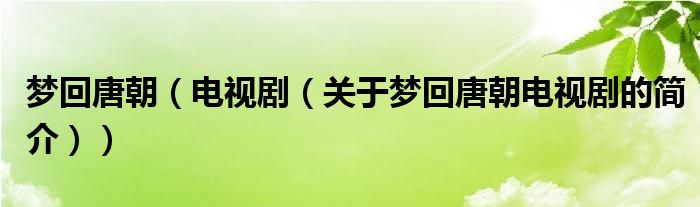 夢回唐朝（電視?。P(guān)于夢回唐朝電視劇的簡介））