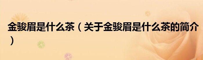 金駿眉是什么茶（關(guān)于金駿眉是什么茶的簡(jiǎn)介）