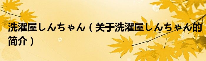 洗濯屋しんちゃん（關(guān)于洗濯屋しんちゃん的簡(jiǎn)介）