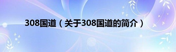 308國道（關(guān)于308國道的簡介）