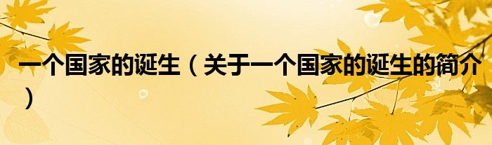 一個國家的誕生（關于一個國家的誕生的簡介）