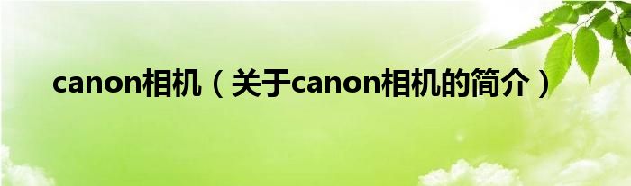 canon相機（關于canon相機的簡介）