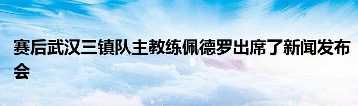 賽后武漢三鎮(zhèn)隊主教練佩德羅出席了新聞發(fā)布會