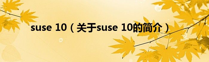 suse 10（關(guān)于suse 10的簡(jiǎn)介）