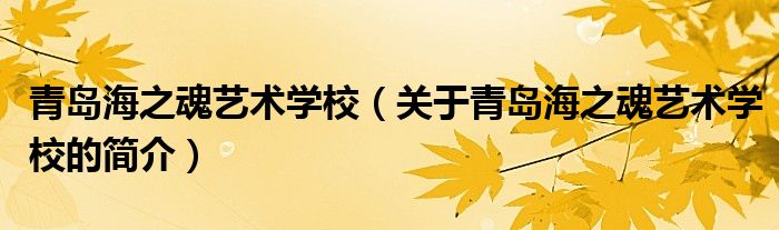 青島海之魂藝術學校（關于青島海之魂藝術學校的簡介）